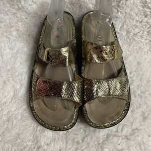 Alegria Karmen leather Gold snake skin print platform wedge Strap Sandals SZ11.5